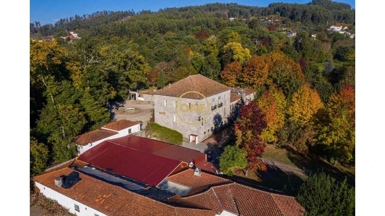 Quinta T5 para Venda em Pombeiro de Ribavizela Foto 3