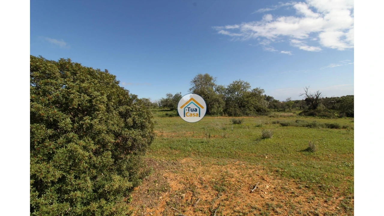 Terreno para Venda em Pechão Foto 21