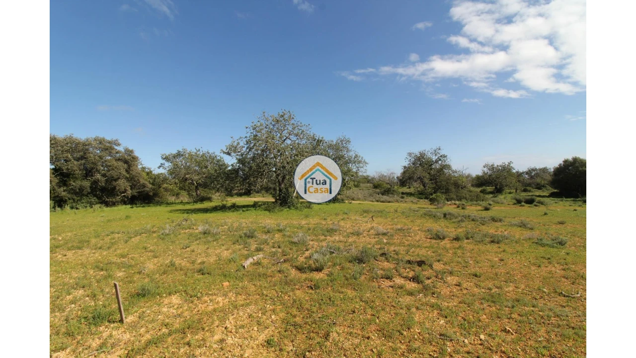 Terreno para Venda em Pechão Foto 25