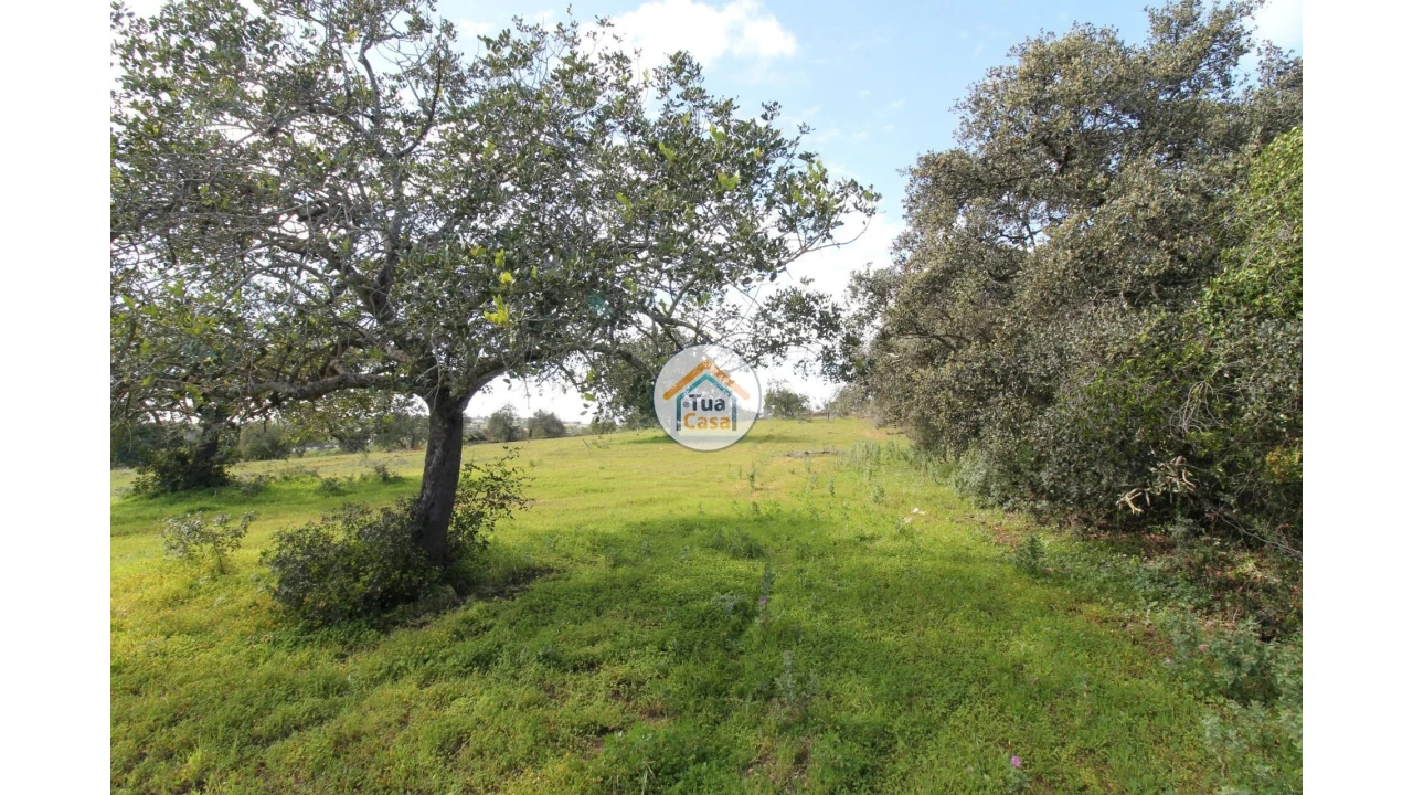 Terreno para Venda em Pechão Foto 13