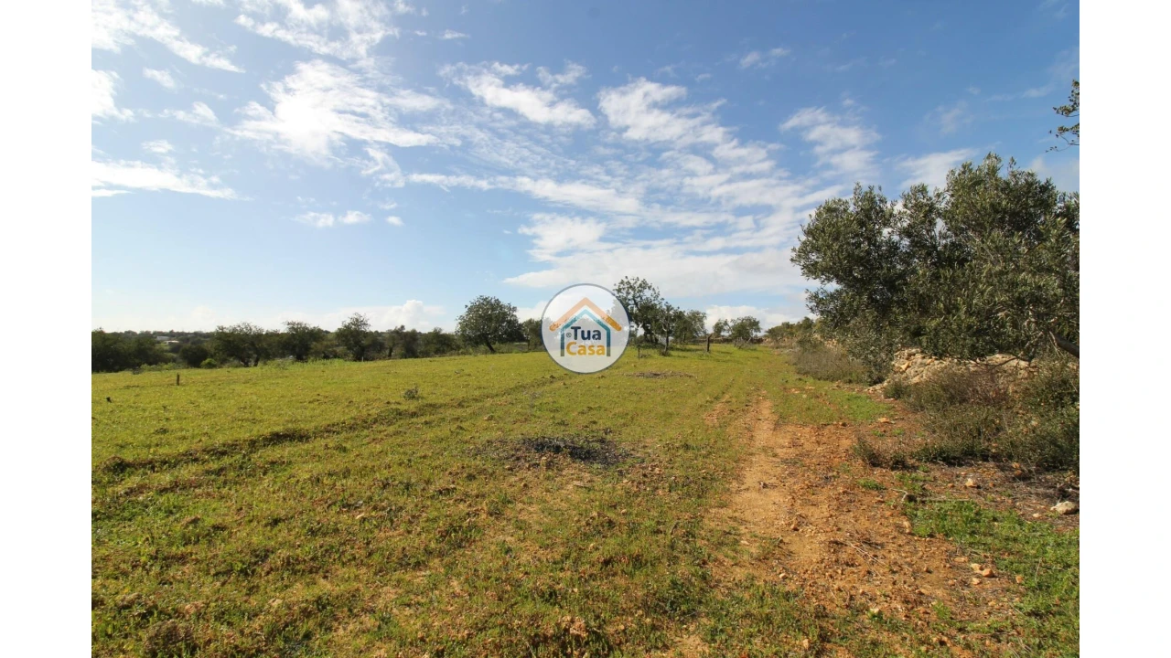 Terreno para Venda em Pechão Foto 15