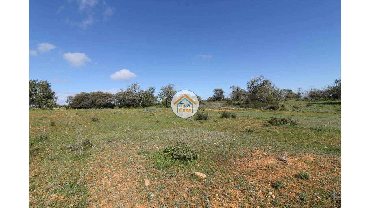 Terreno para Venda em Pechão Foto 22