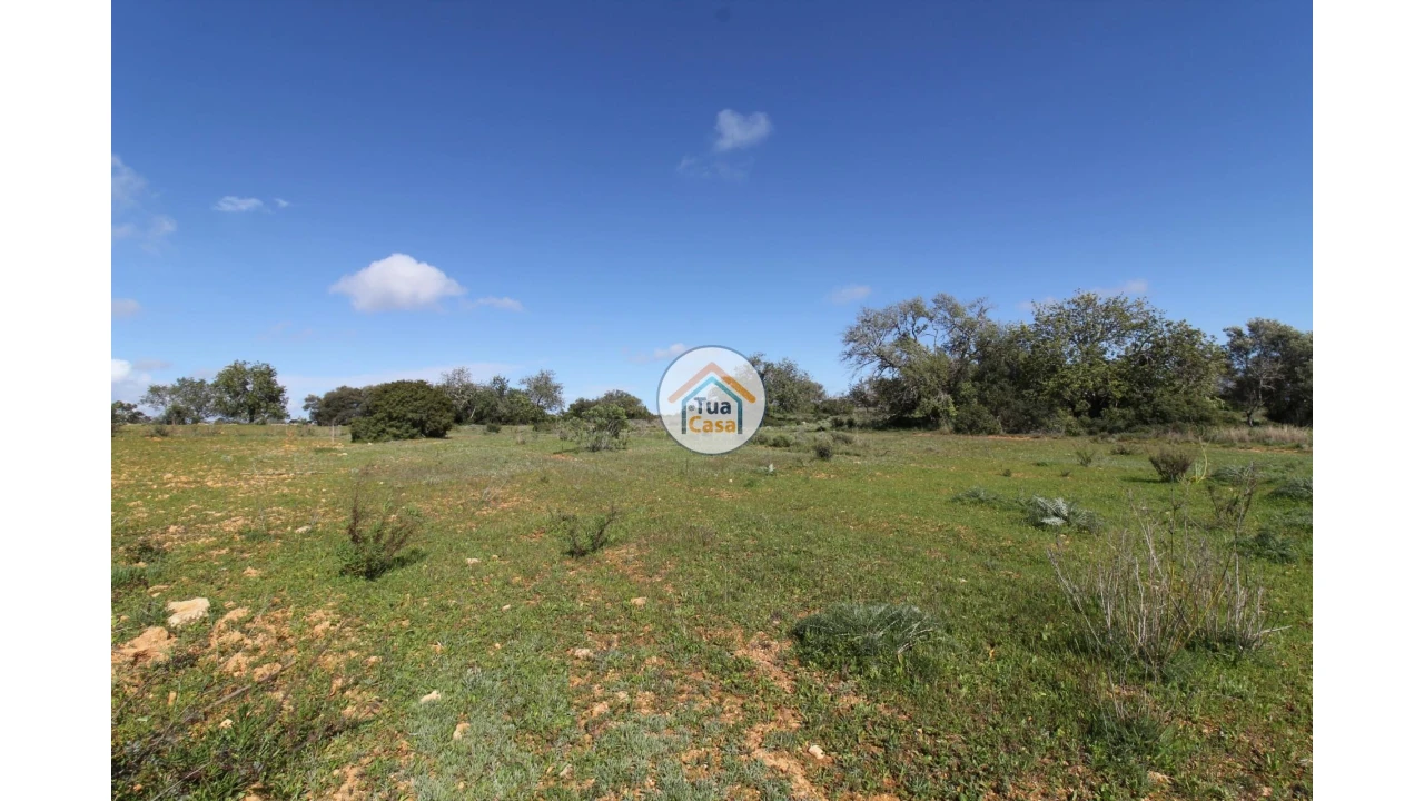 Terreno para Venda em Pechão Foto 18