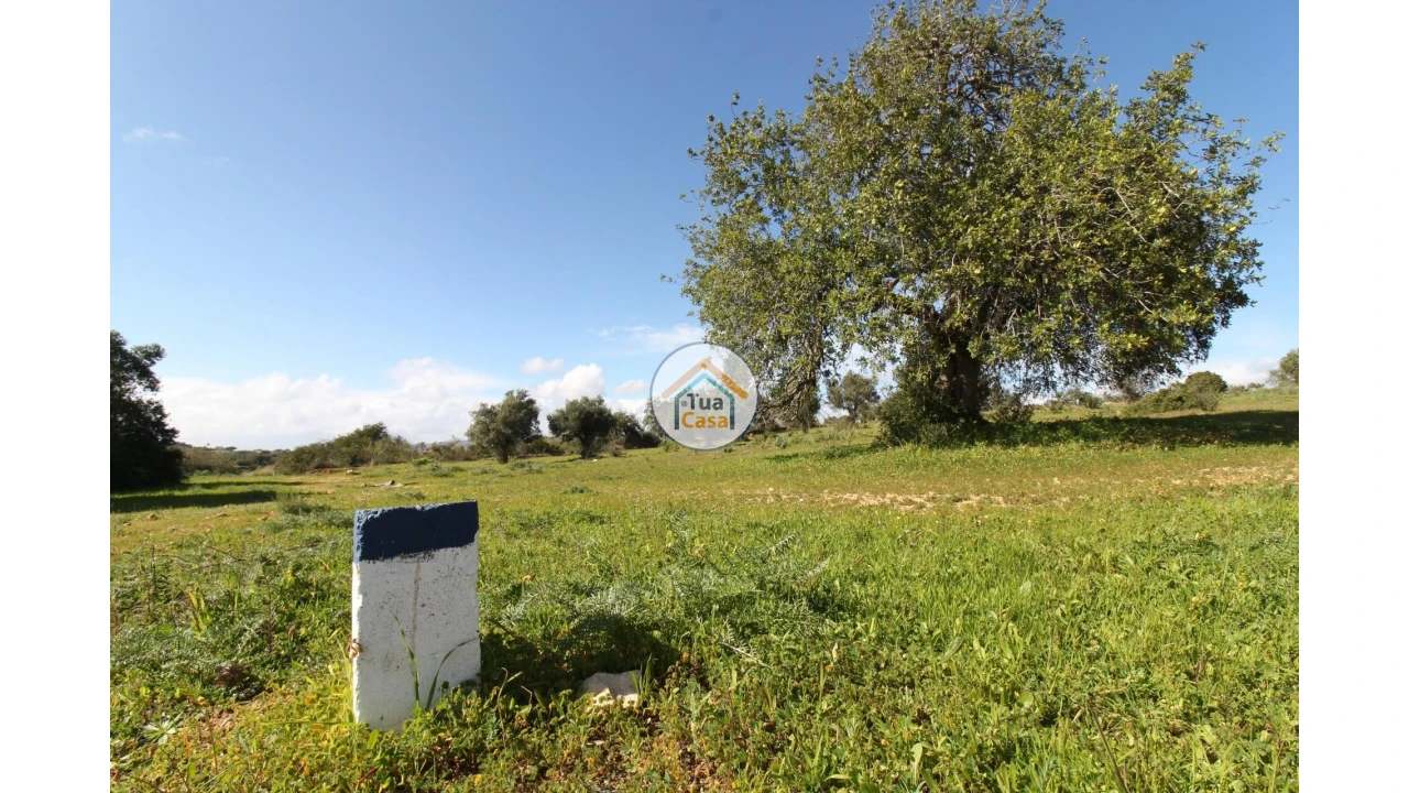 Terreno para Venda em Pechão Foto 1