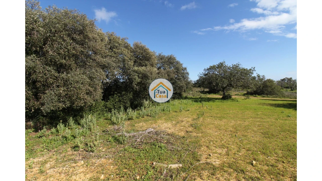 Terreno para Venda em Pechão Foto 27