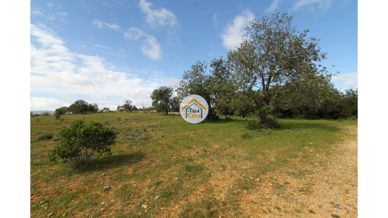 Terreno para Venda em Pechão Foto 10