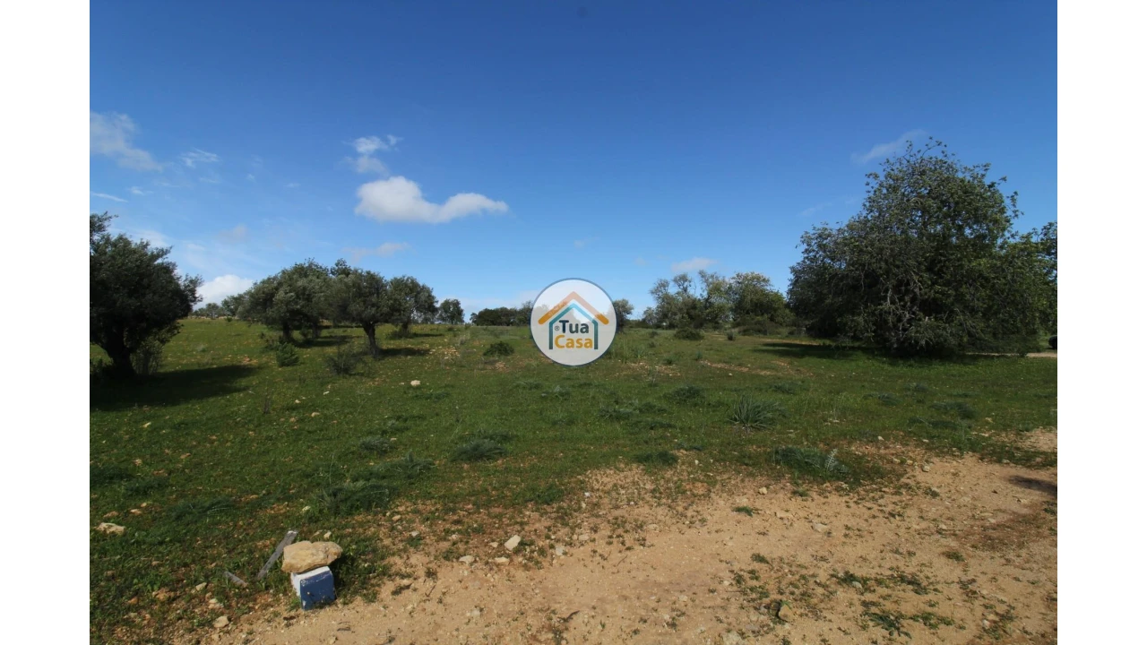 Terreno para Venda em Pechão Foto 17