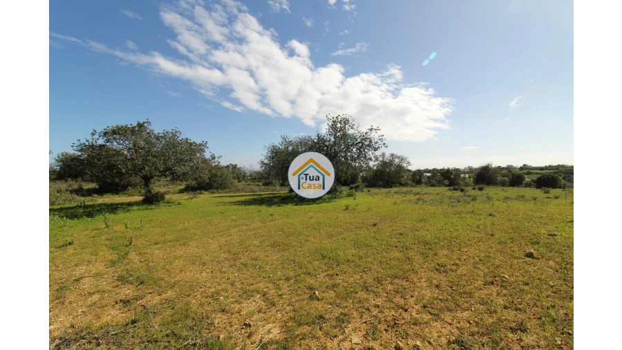 Terreno para Venda em Pechão Foto 28