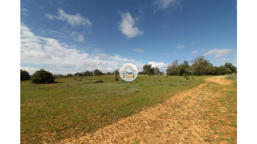 Terreno para Venda em Pechão Foto 8