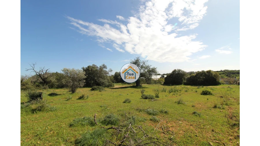 Terreno para Venda em Pechão Foto 19