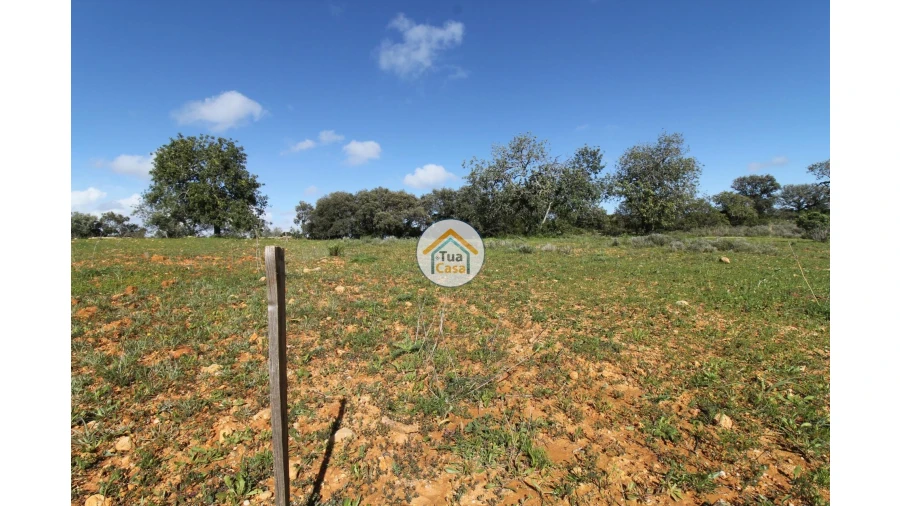 Terreno para Venda em Pechão Foto 24