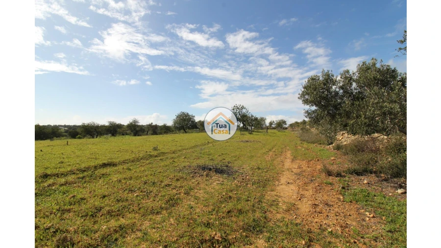 Terreno para Venda em Pechão Foto 15