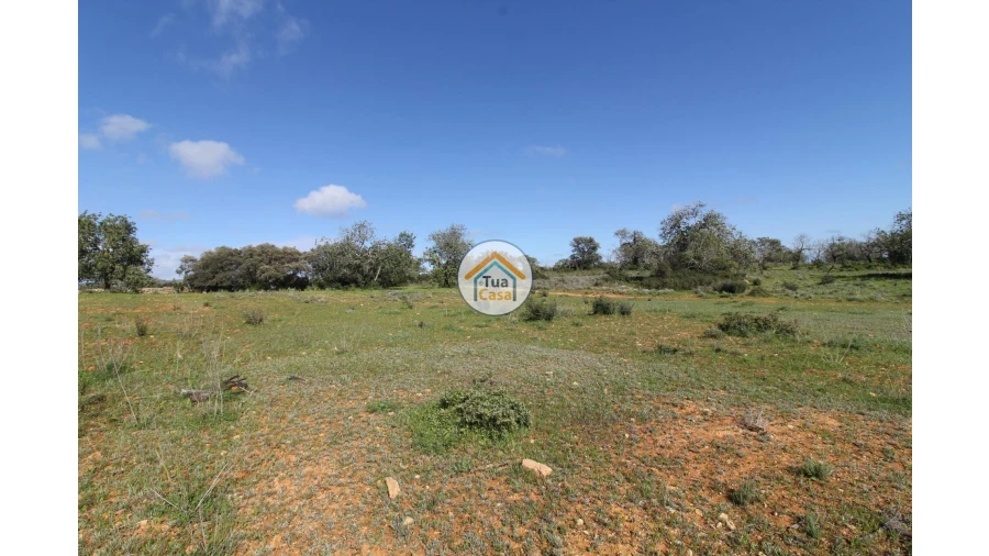 Terreno para Venda em Pechão Foto 22
