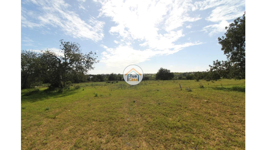 Terreno para Venda em Pechão Foto 14