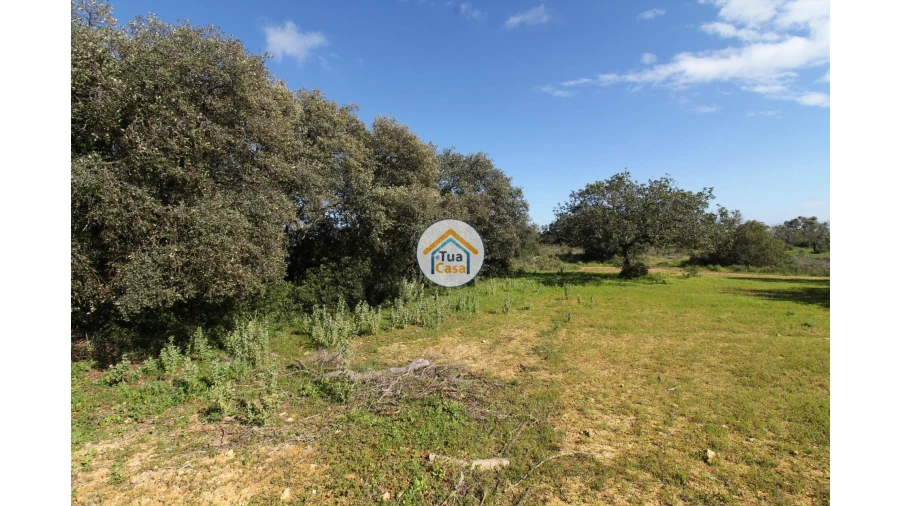 Terreno para Venda em Pechão Foto 27