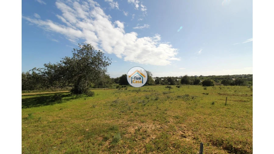 Terreno para Venda em Pechão Foto 26