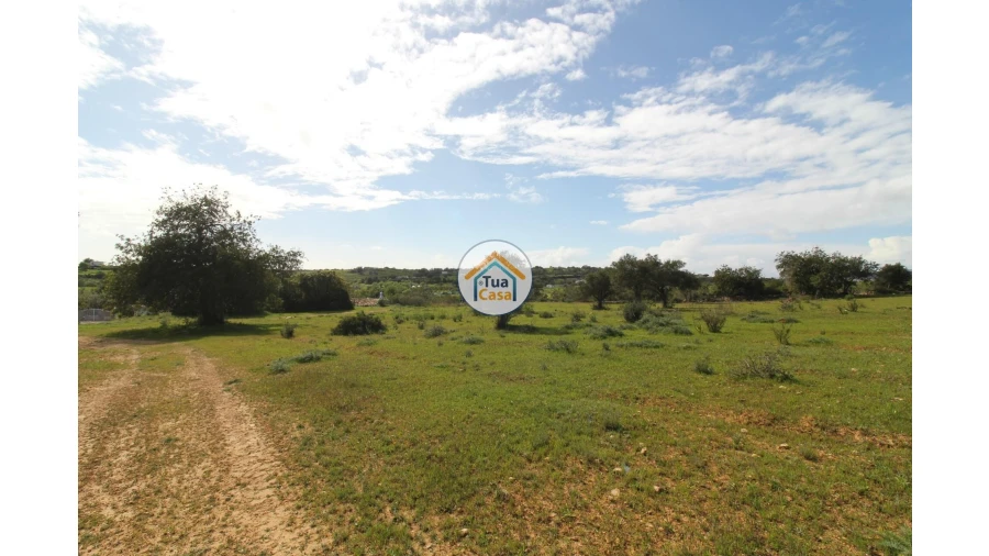 Terreno para Venda em Pechão Foto 7