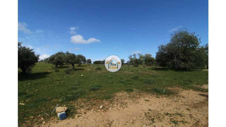 Terreno para Venda em Pechão Foto 17