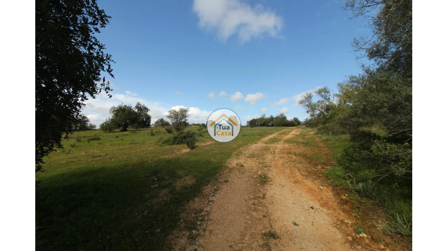 Terreno para Venda em Pechão Foto 4