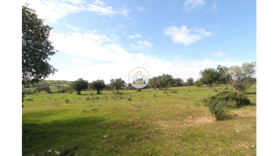 Terreno para Venda em Pechão Foto 5