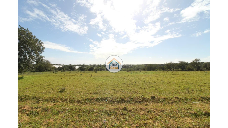 Terreno para Venda em Pechão Foto 16