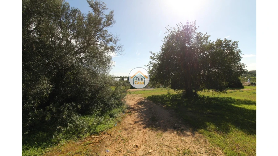 Terreno para Venda em Pechão Foto 31