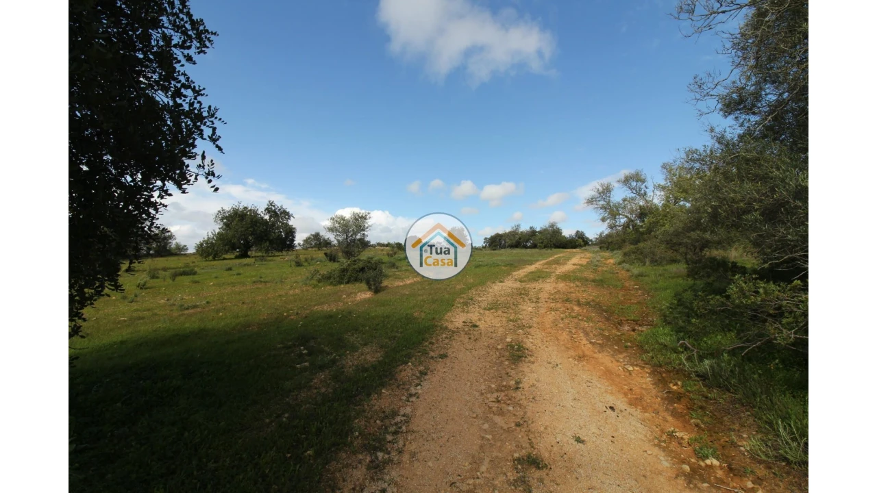 Terreno para Venda em Pechão Foto 4