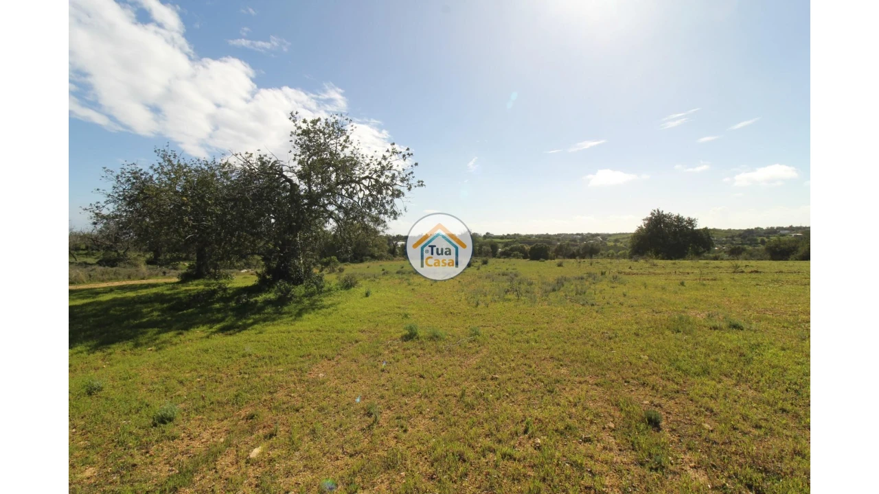 Terreno para Venda em Pechão Foto 29