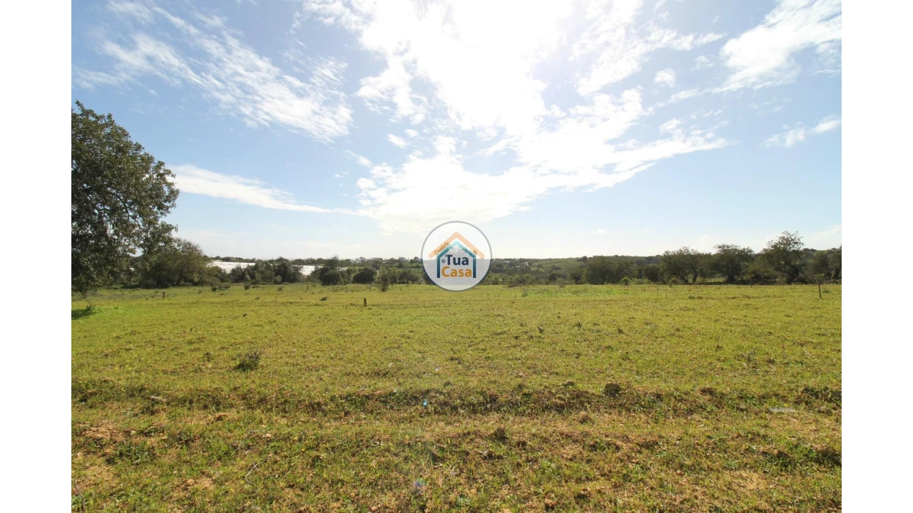 Terreno para Venda em Pechão Foto 16