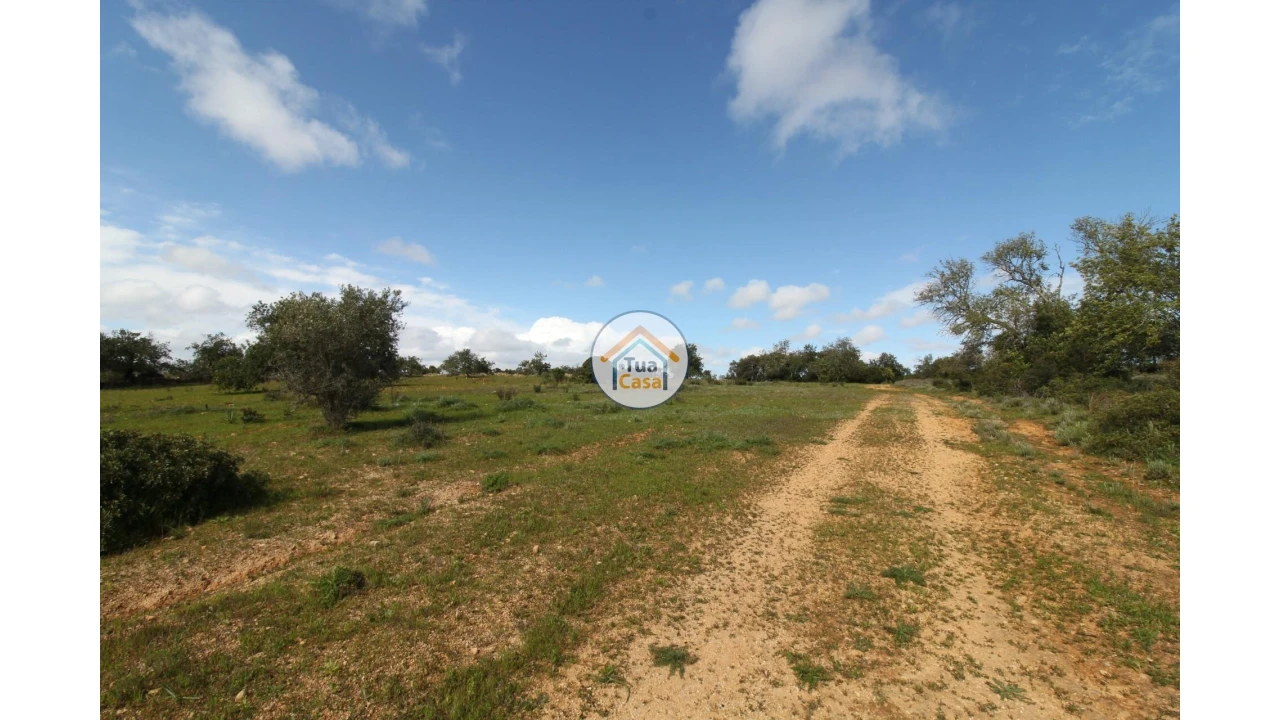 Terreno para Venda em Pechão Foto 6