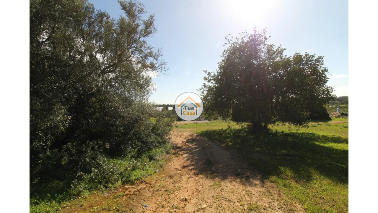 Terreno para Venda em Pechão Foto 31