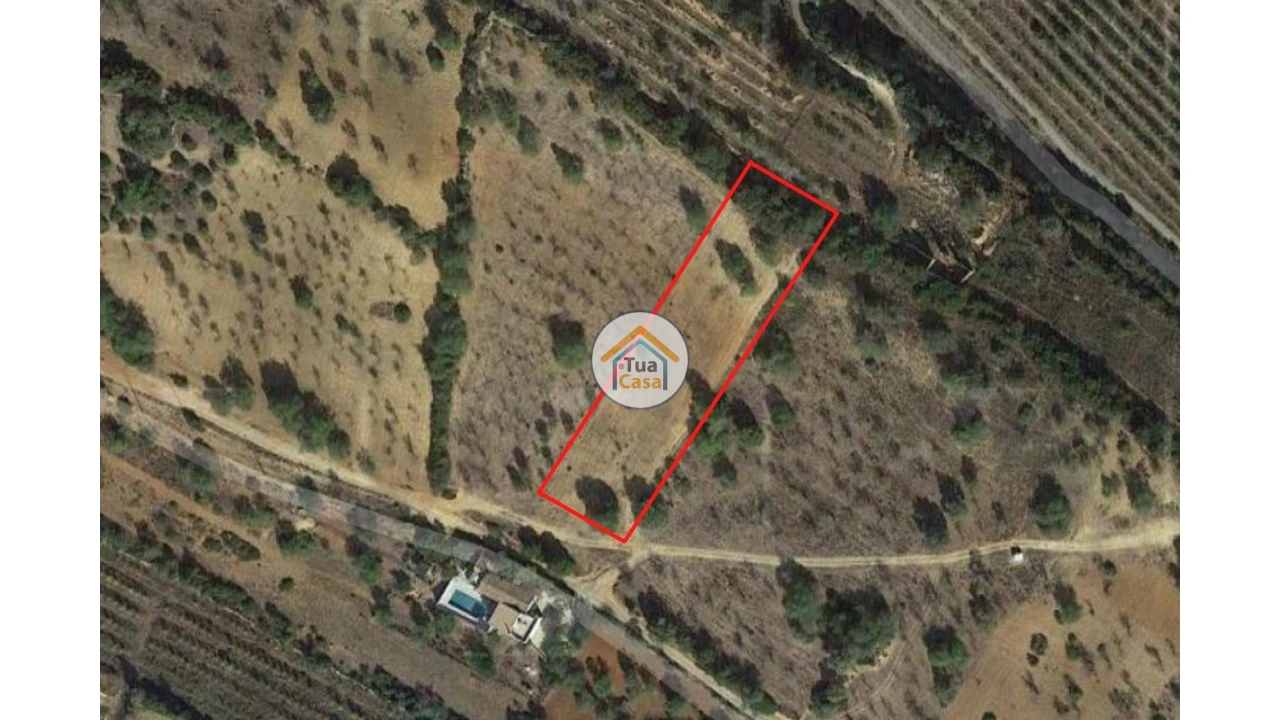 Terreno para Venda em Pechão Foto 2