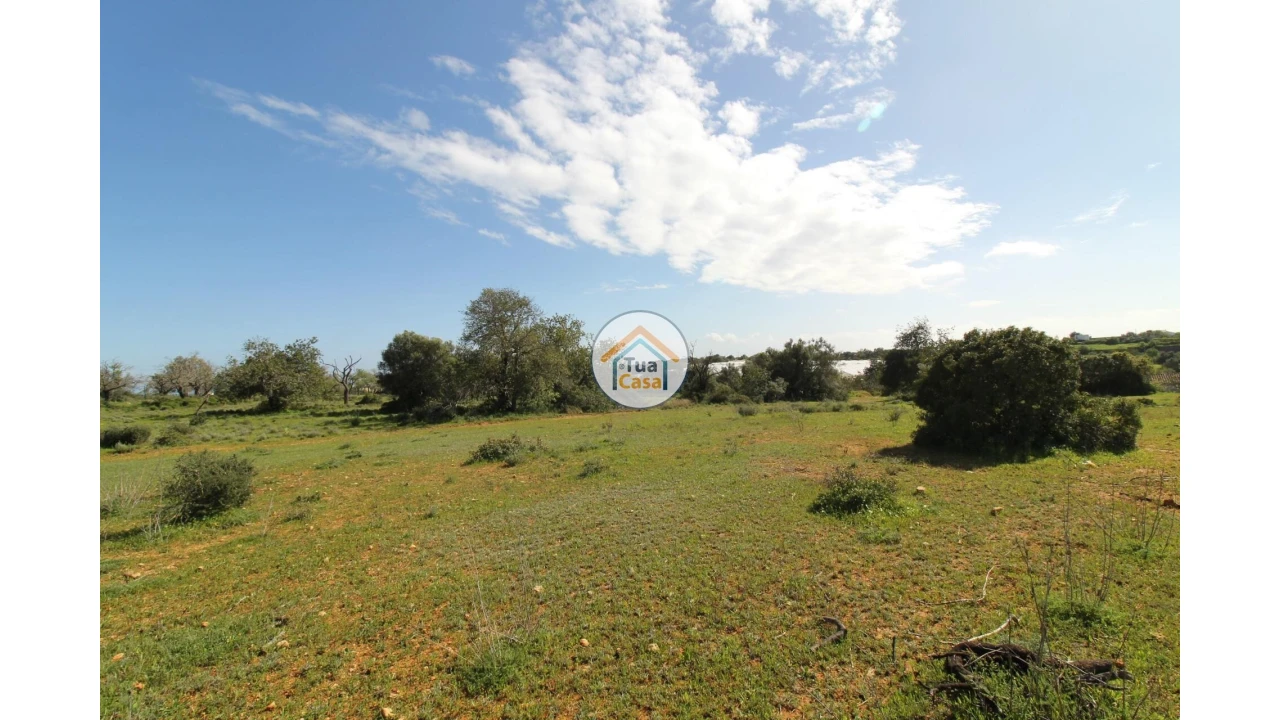 Terreno para Venda em Pechão Foto 23