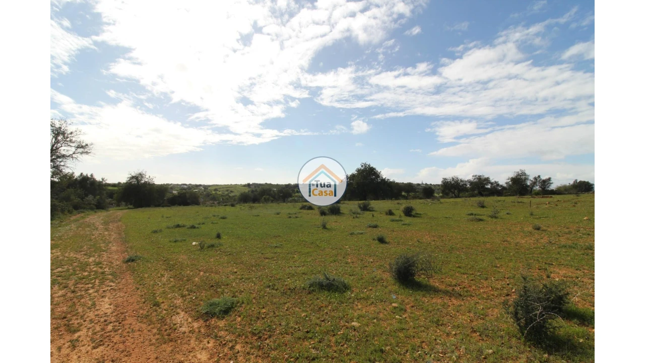 Terreno para Venda em Pechão Foto 9