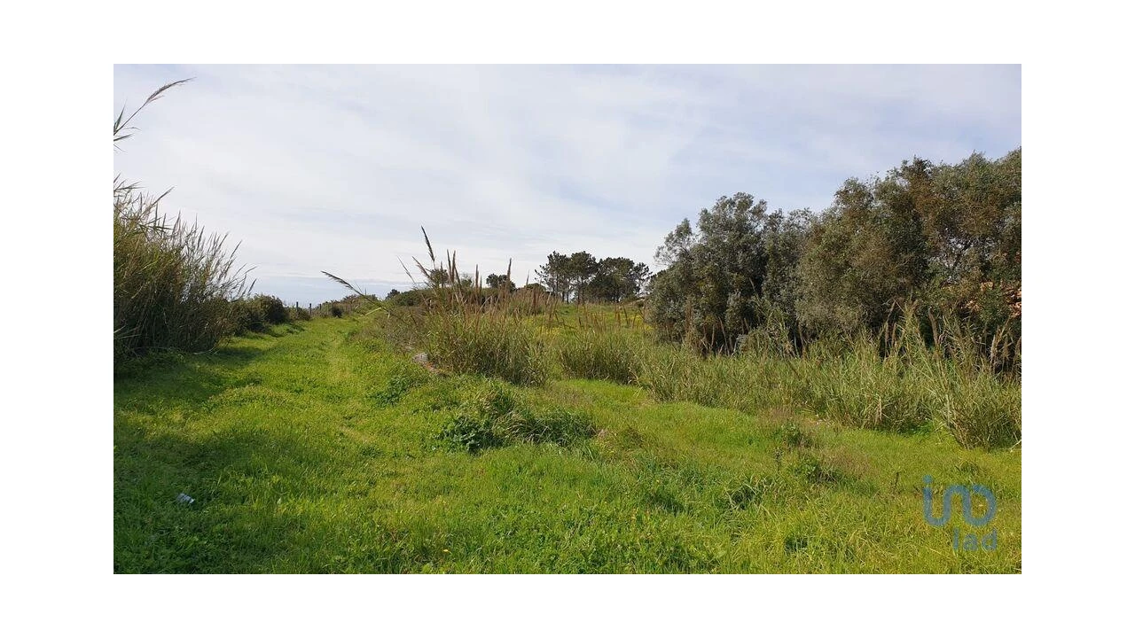 Terreno para Venda em Olho Marinho Foto 8