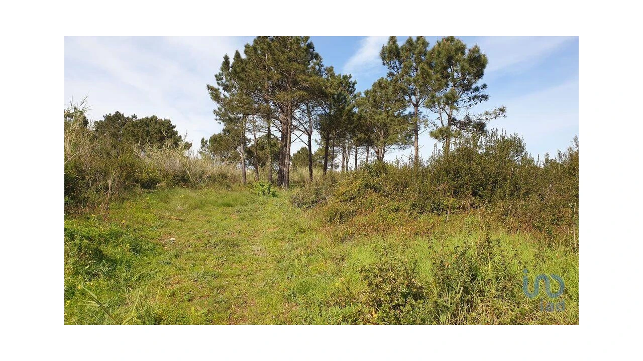 Terreno para Venda em Olho Marinho Foto 6