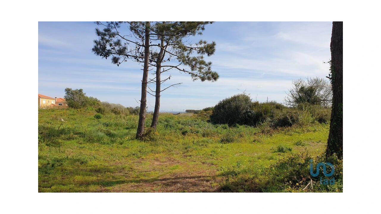 Terreno para Venda em Olho Marinho Foto 10