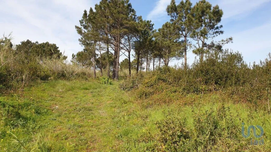 Terreno para Venda em Olho Marinho Foto 6