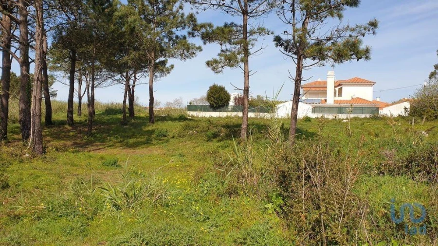 Terreno para Venda em Olho Marinho Foto 9