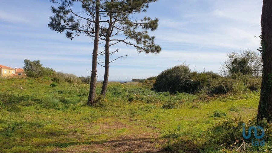 Terreno para Venda em Olho Marinho Foto 10