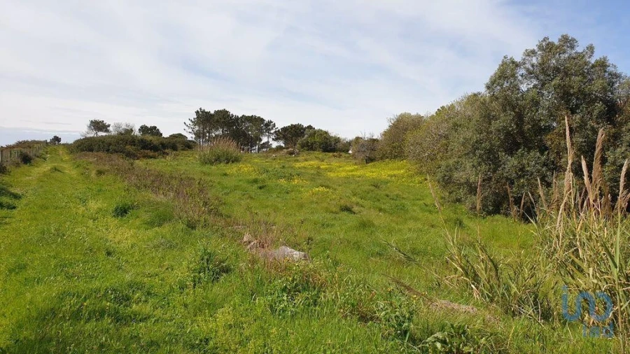 Terreno para Venda em Olho Marinho Foto 7