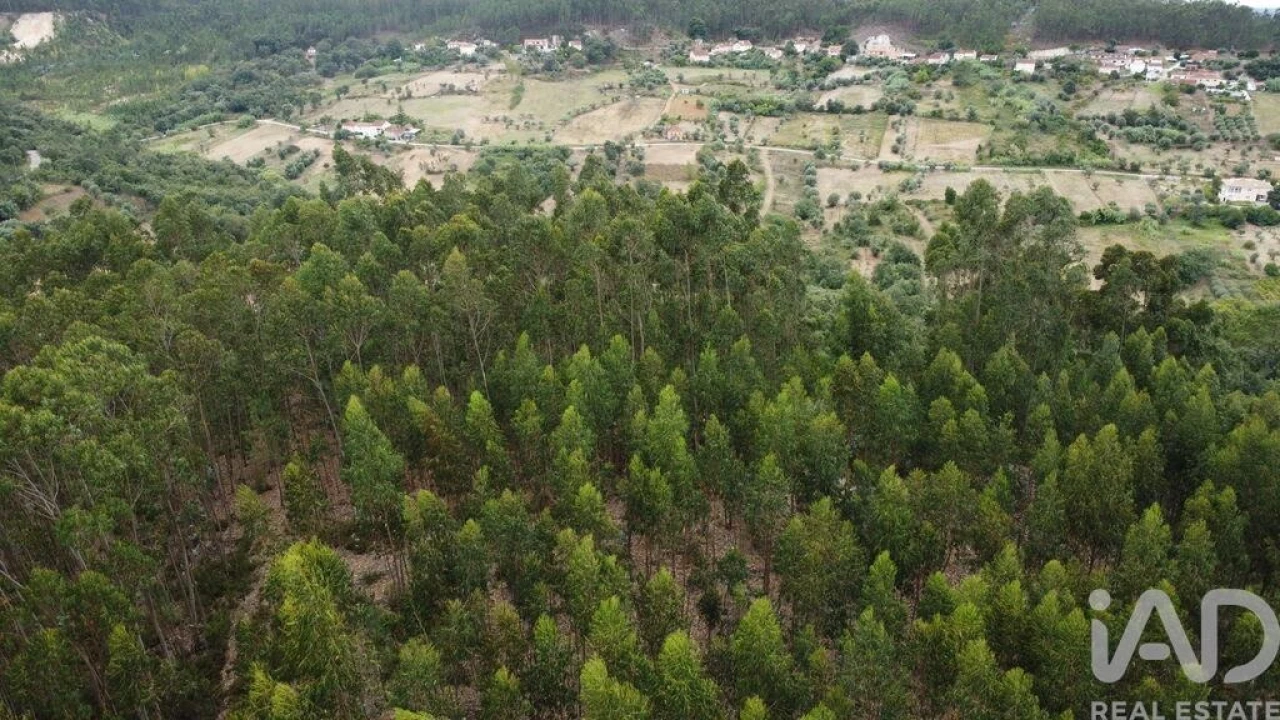 Terreno para Venda em Santiago e São Simão de Litém e Albergaria dos Doze Foto 16
