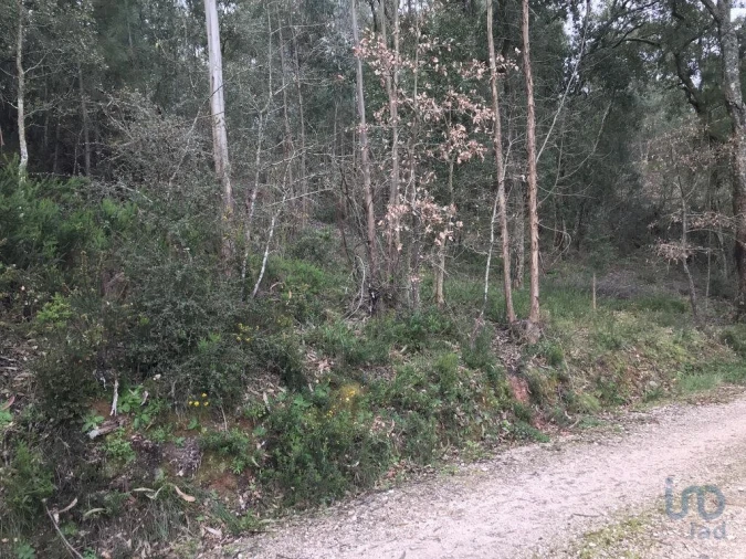 Terreno para Venda em Santiago e São Simão de Litém e Albergaria dos Doze Foto 8