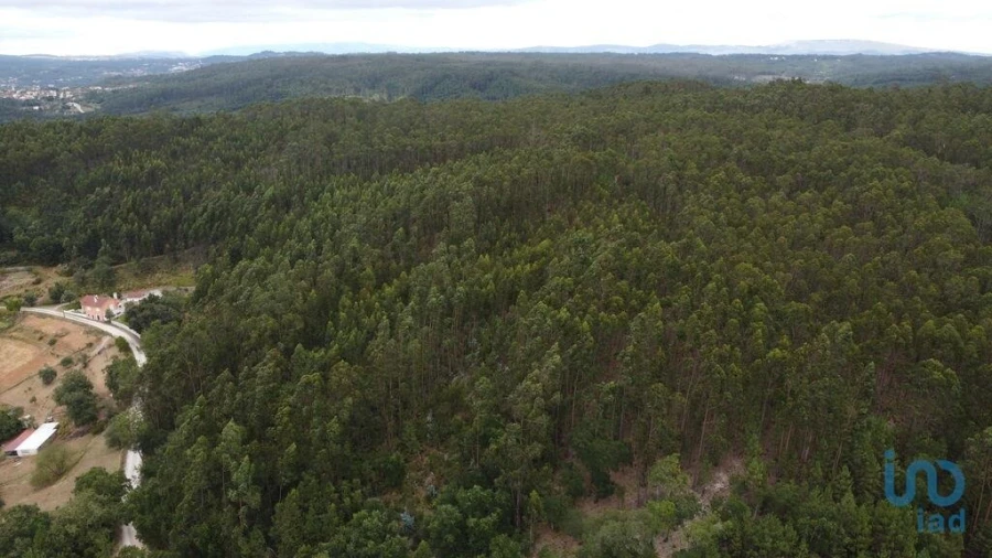 Terreno para Venda em Santiago e São Simão de Litém e Albergaria dos Doze Foto 14