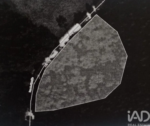 Terreno para Venda em Santiago e São Simão de Litém e Albergaria dos Doze Foto 18