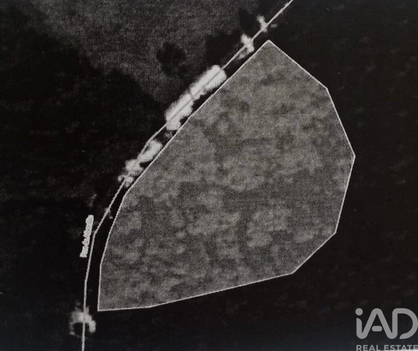 Terreno para Venda em Santiago e São Simão de Litém e Albergaria dos Doze Foto 18