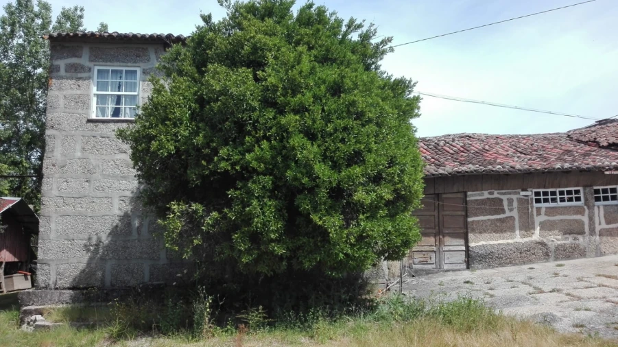 Quinta T4 para Venda em Selho São Lourenço e Gominhães Foto 6