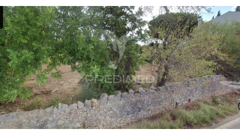 Terreno para Venda em São Brás de Alportel