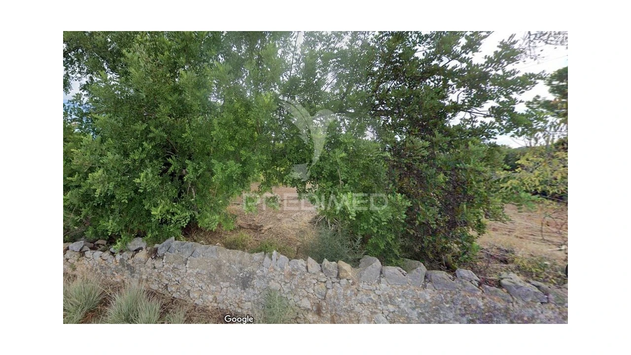 Terreno para Venda em São Brás de Alportel Foto 2