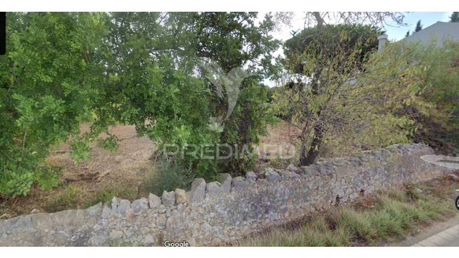 Terreno para Venda em São Brás de Alportel Foto 4